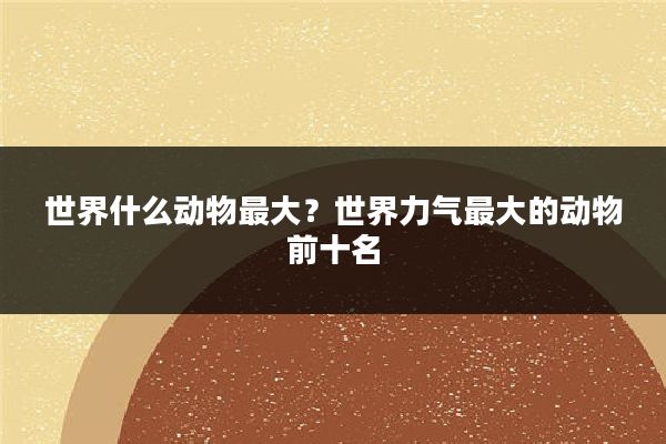 世界什么动物最大?世界力气最大的动物前十名