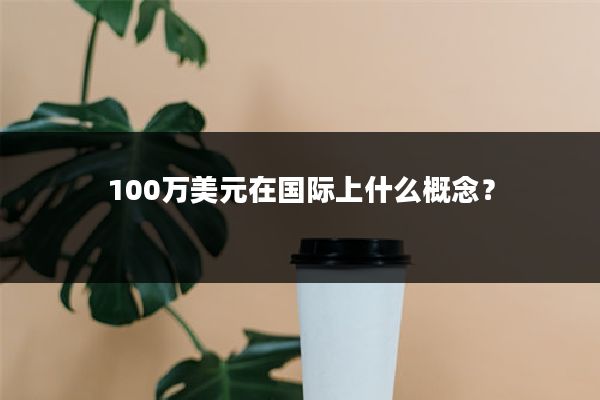 100万美元在国际上什么概念?