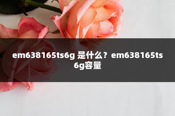 em638165ts6g 是什么?em638165ts6g容量