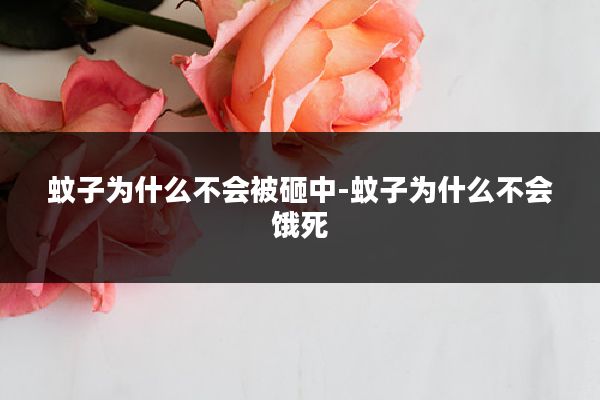 蚊子为什么不会被砸中-蚊子为什么不会饿死