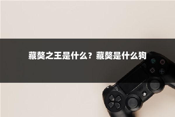 藏獒之王是什么？藏獒是什么狗