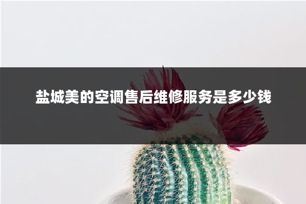 盐城美的空调售后维修服务是多少钱