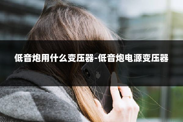 低音炮用什么变压器-低音炮电源变压器