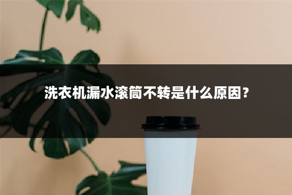 洗衣机漏水滚筒不转是什么原因？