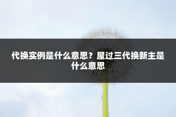 代换实例是什么意思?屋过三代换新主是什么意思