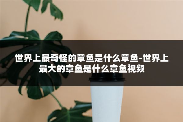 世界上最奇怪的章鱼是什么章鱼-世界上最大的章鱼是什么章鱼视频