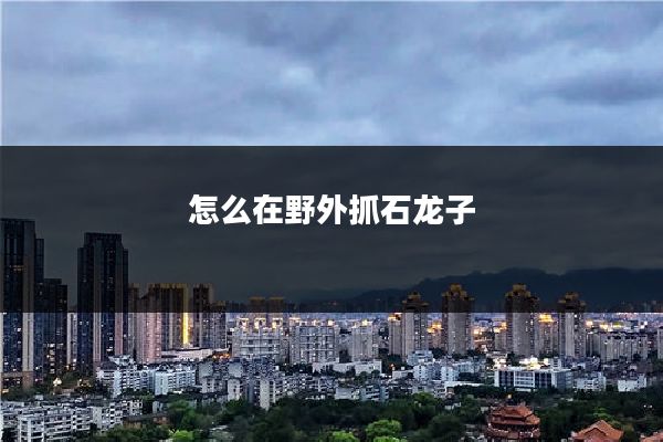 怎么在野外抓石龙子