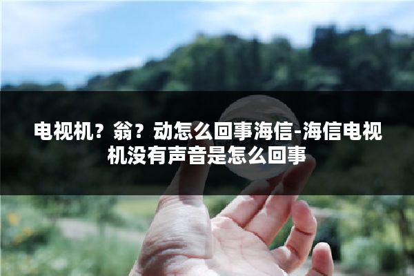 电视机?翁?动怎么回事海信-海信电视机没有声音是怎么回事
