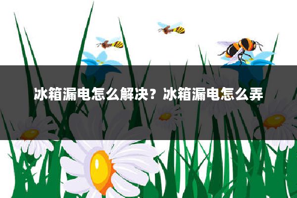 冰箱漏电怎么解决?冰箱漏电怎么弄