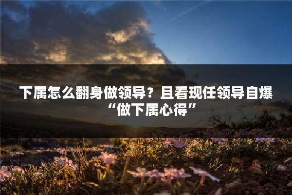 下属怎么翻身做领导？且看现任领导自爆“做下属心得”
