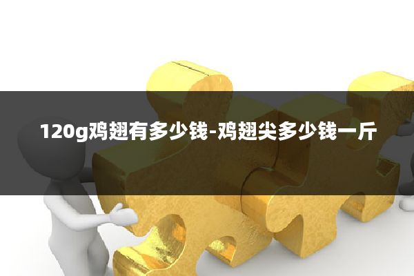 120g鸡翅有多少钱-鸡翅尖多少钱一斤