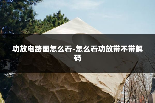 功放电路图怎么看-怎么看功放带不带解码