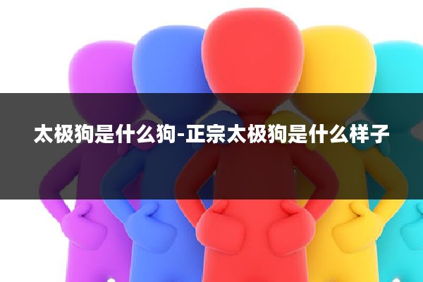 太极狗是什么狗-正宗太极狗是什么样子