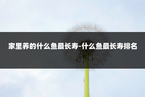 家里养的什么鱼最长寿-什么鱼最长寿排名